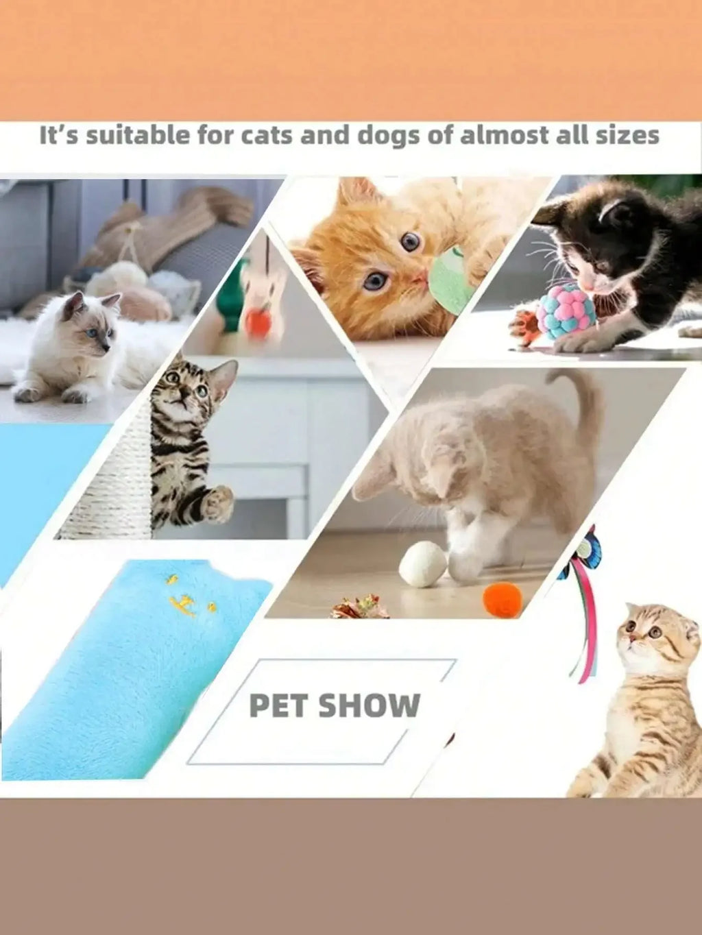 PawTech 12-Piece Cat Teaser Wand Set — Retractable Wand with Feather, Bell & Fish Attachments